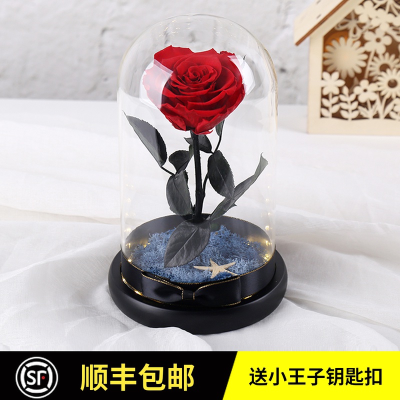 天津进口永生花礼盒玻璃罩小王子的玫瑰花一朵女友生日教师情人节礼物