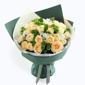 天津夏日公主-香槟玫瑰33枝、绿色小雏菊8枝、白色石竹梅5枝、栀子叶3枝