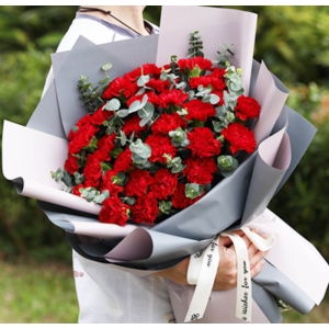 天津温情意-红色康乃馨33枝,搭配尤加利。