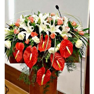 天津讲台花(豪华型)-红掌6枝,多头白香水百合6枝, 粉玫瑰22枝,桔梗适量,绿叶