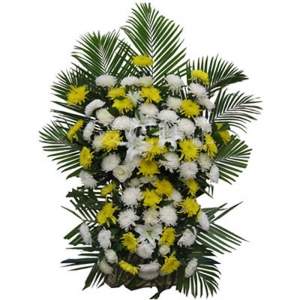 天津魂牵梦萦-45支白菊花，25支黄菊花，5朵百合，绿叶