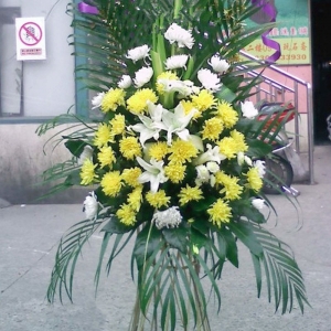 天津永远怀念-黄色菊花、白色菊花、百合、散尾葵搭配