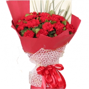 天津祝福妈妈-19朵红康乃馨，点缀桅子叶。