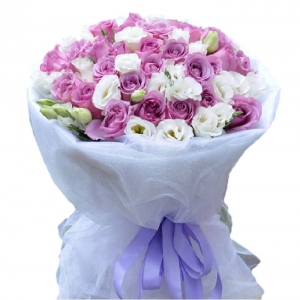 天津对你的爱今生都不变-33枝紫玫瑰，12枝白色桔梗点缀