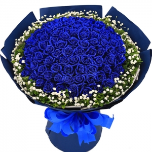 天津爱情海洋-99支蓝色玫瑰，外围满天星，绿色叶材