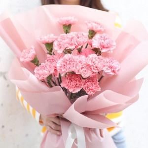 天津烛光里的妈妈——19枝粉色康乃馨