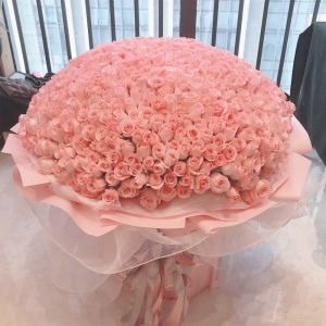 天津公主的假日-999朵粉玫瑰