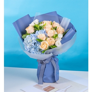 天津守护花-香槟玫瑰9枝，蓝绣球1枝，白色洋桔梗2枝，栀子叶10枝