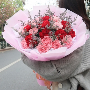 天津生命里的烛光-19朵红色、粉色康乃馨混搭，搭配情人草等配花