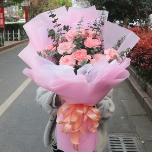 天津锦绣未来-11朵粉色康乃馨，搭配尤加利叶