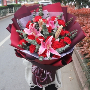 天津祝福之花-19支红色康乃馨，2支多头粉百合，搭配尤加利叶、石竹梅等配花