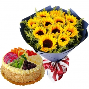 天津蓝色大海的传说-11枝向日葵，搭配黄莺+8寸水果蛋糕