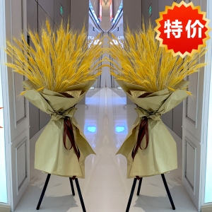 天津大卖-时尚大麦开业花篮 （单个价）