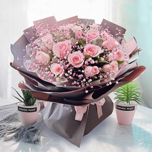 天津高贵女神-19朵粉玫瑰，粉色满天星点缀，银叶菊搭配